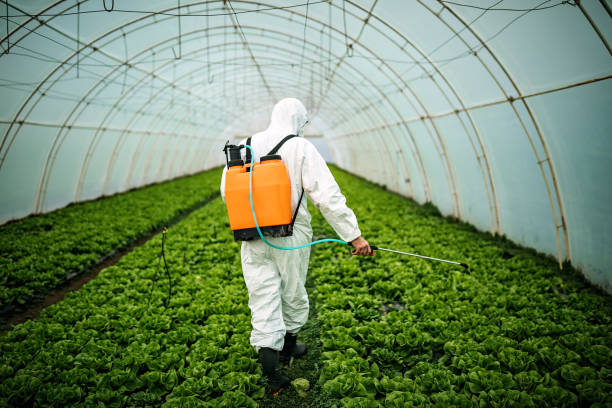 Best Pest Control Cost  in Greens Farms, CT