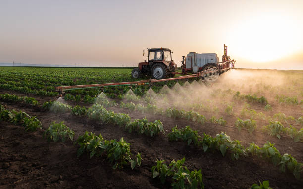 Best Pest Prevention Services  in Greens Farms, CT