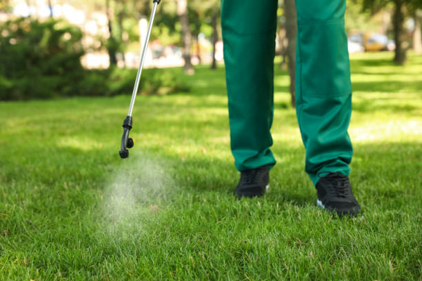 Best Affordable Pest Control Services  in Greens Farms, CT