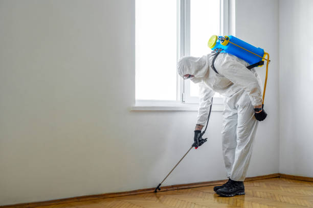 Best Rat Extermination Near Me  in Greens Farms, CT