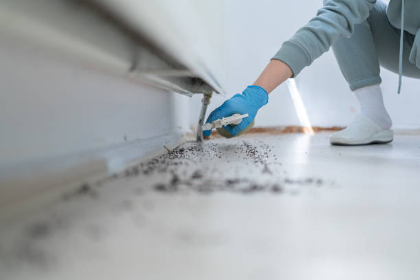 Best Mosquito Control Services  in Greens Farms, CT